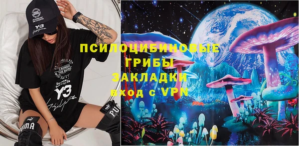 не бодяженный Алексин